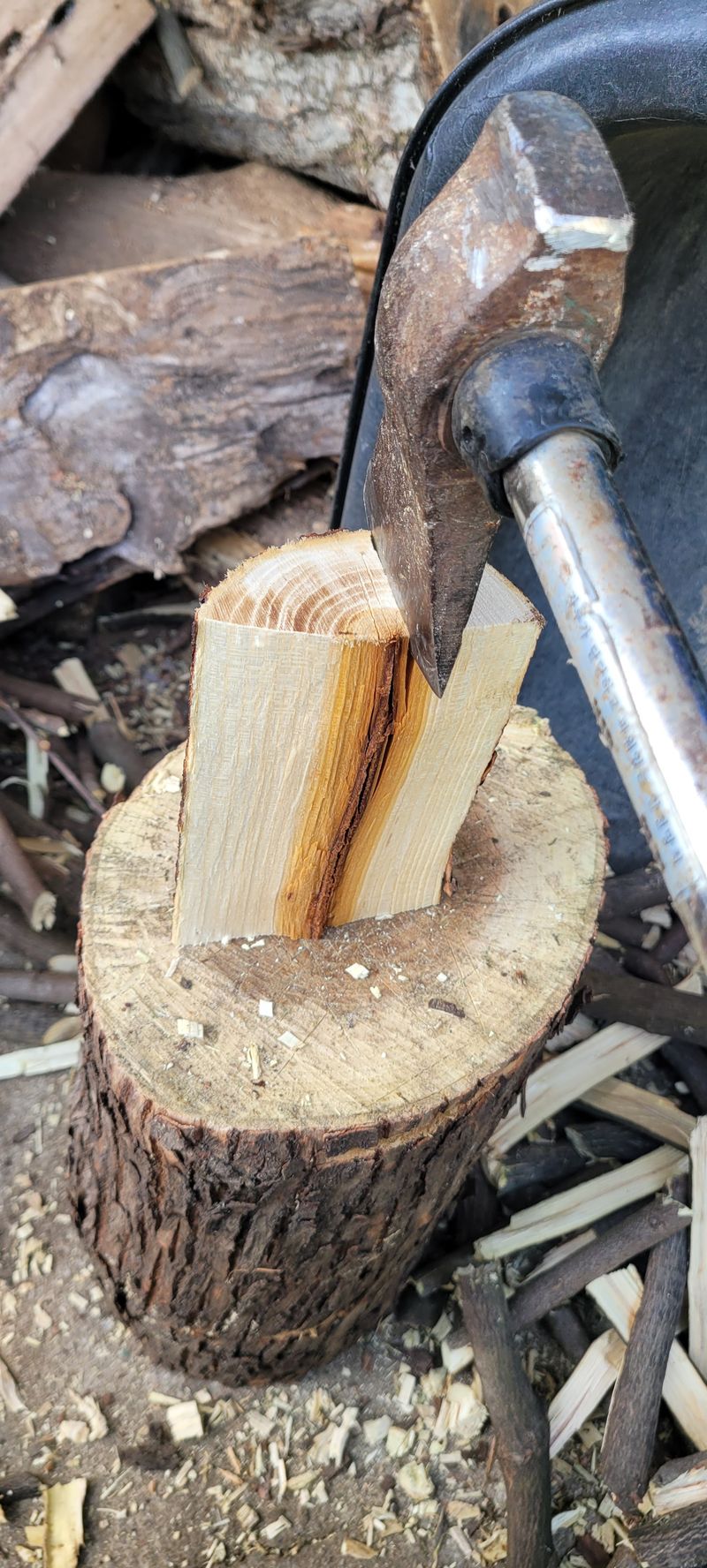 사랑꽃농장님의 장터 판매 상품 [50%헛개나무(차.백숙용) 3kg] 첨부 사진