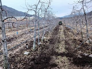 알 수 없음님의 자유주제 · 자유게시판 작성글 사진