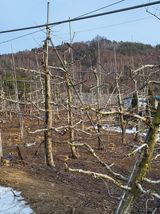 팜모닝 자유주제·자유게시판 게시글 이미지