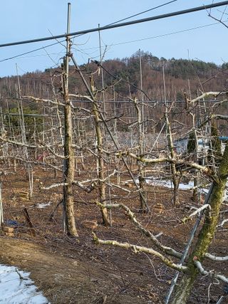 최용환 님의 자유주제 · 자유게시판 작성글 사진