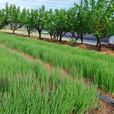 팜모닝 농업재해보험 품목 확대, 찬성 vs 반대·참여글 게시글 이미지