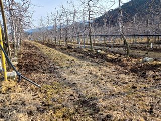 알 수 없음님의 자유주제 · 자유게시판 작성글 사진