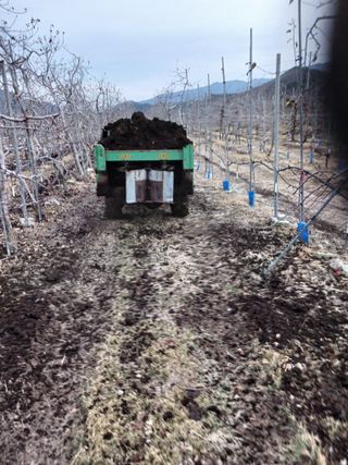 알 수 없음님의 자유주제 · 자유게시판 작성글 사진