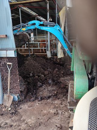 알 수 없음님의 자유주제 · 자유게시판 작성글 사진