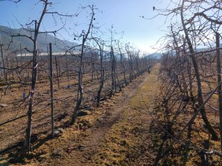 알 수 없음님의 자유주제 · 자유게시판 작성글 사진