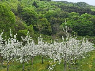 김복덕님의 농업재해보험 품목 확대, 찬성 vs 반대 · 참여글 작성글 사진
