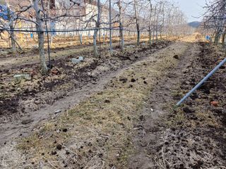 알 수 없음님의 자유주제 · 자유게시판 작성글 사진