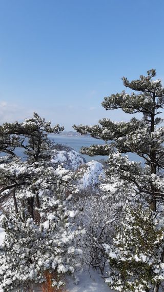 최도윤(중고농기계)님의 자유주제 · 자유게시판 작성글 사진