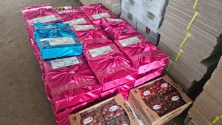 알 수 없음님의 작성글 사진