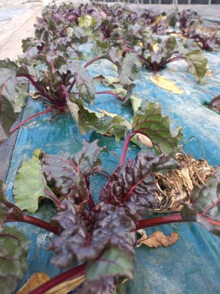 박린님의 자유주제 · 자유게시판 작성글 사진