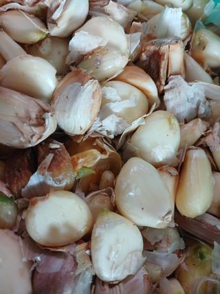 최광순님의 자유주제 · 사진전 작성글 사진