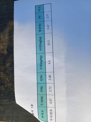 박린님의 자유주제 · 자유게시판 작성글 사진