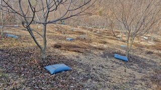 정석구님의 자유주제 · 자유게시판 작성글 사진