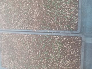 최광순님의 자유주제 · 사진전 작성글 사진