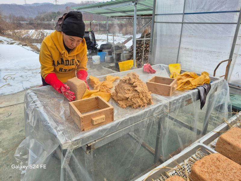 음두임님의 장터 판매 상품 [전통메주] 첨부 사진
