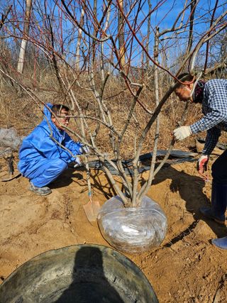 osm님의 자유주제 · 자유게시판 작성글 사진