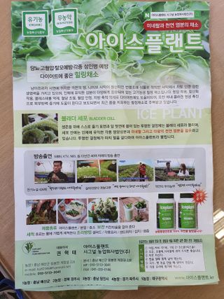 권혁태 님의 자유주제 · 자유게시판 작성글 사진