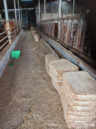 알 수 없음님의 자유주제 · 자유게시판 작성글 사진