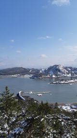 팜모닝 자유주제·자유게시판 게시글 이미지