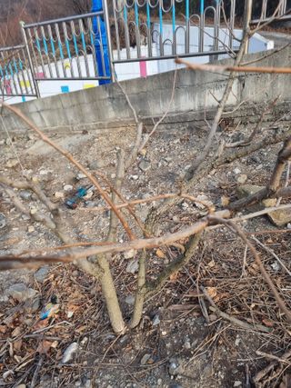 김용대님의 자유주제 · 자유게시판 작성글 사진