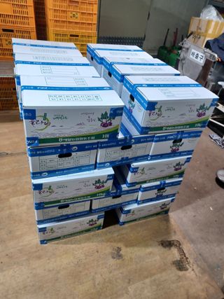 농사꾼님의 자유주제 · 자유게시판 작성글 사진