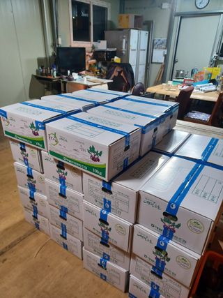 농사꾼님의 자유주제 · 자유게시판 작성글 사진