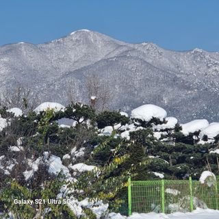 이천산수유님의 작성글 사진