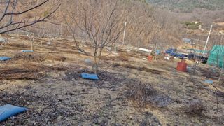 정석구님의 자유주제 · 자유게시판 작성글 사진