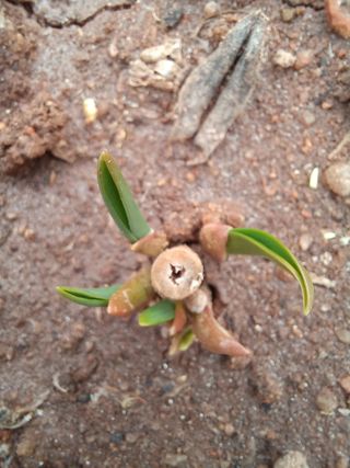 박린님의 자유주제 · 자유게시판 작성글 사진