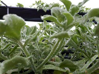 권혁태 님의 자유주제 · 자유게시판 작성글 사진