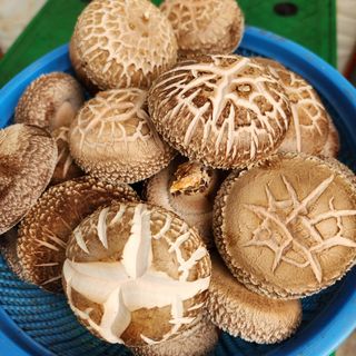 숙이농장님의 자유주제 · 자유게시판 작성글 사진