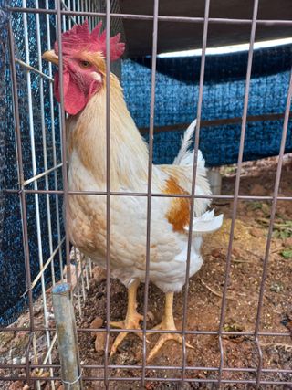 박린님의 자유주제 · 자유게시판 작성글 사진