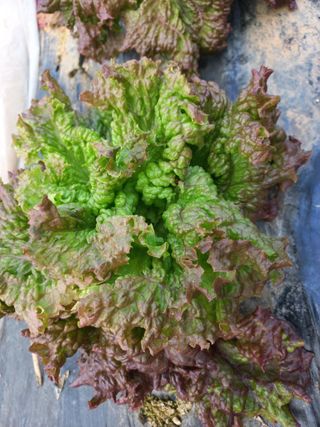 박린님의 자유주제 · 자유게시판 작성글 사진