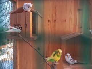 박린님의 자유주제 · 자유게시판 작성글 사진