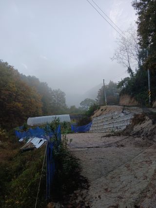 혁이네농원님의 작성글 사진