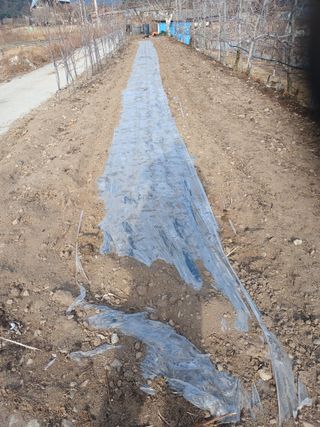 알 수 없음님의 자유주제 · 자유게시판 작성글 사진