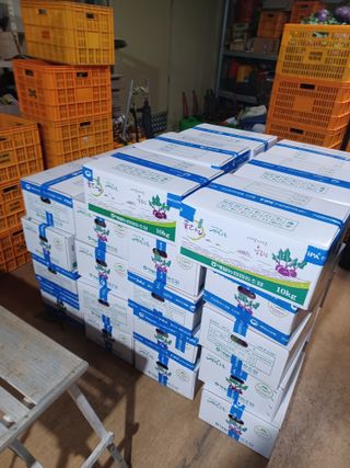 농사꾼님의 자유주제 · 자유게시판 작성글 사진