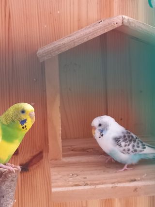 박린님의 자유주제 · 자유게시판 작성글 사진