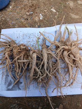 인생은 소풍처럼님의 농업재해보험 품목 확대, 찬성 vs 반대 · 참여글 작성글 사진