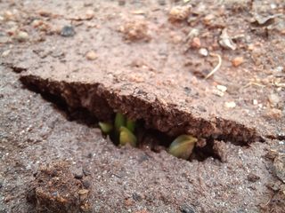 박린님의 자유주제 · 자유게시판 작성글 사진