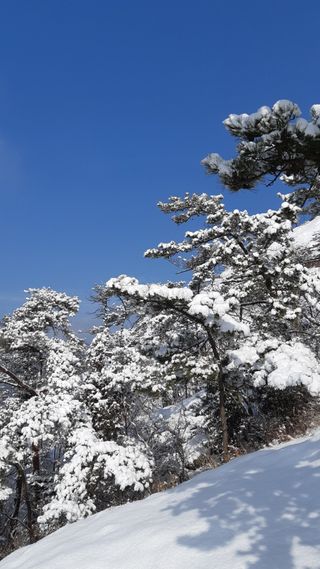 최도윤(중고농기계)님의 자유주제 · 자유게시판 작성글 사진