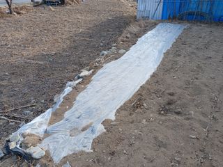 알 수 없음님의 자유주제 · 자유게시판 작성글 사진