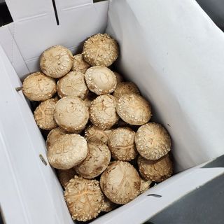 숙이농장님의 자유주제 · 자유게시판 작성글 사진