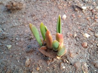 박린님의 자유주제 · 자유게시판 작성글 사진