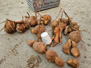 갑돌이님의 자유주제 · 자유게시판 작성글 사진