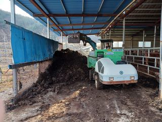 알 수 없음님의 자유주제 · 자유게시판 작성글 사진
