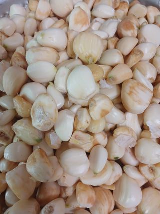 최광순님의 자유주제 · 사진전 작성글 사진