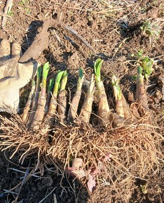 황덕순 님의 자유주제 · 자유게시판 작성글 사진