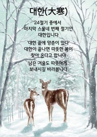 이수진님의 자유주제 · 자유게시판 작성글 사진