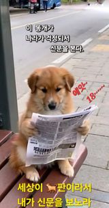 팜모닝 2024년 출석왕중왕 결과 공유해요 👑·참여글 게시글 이미지